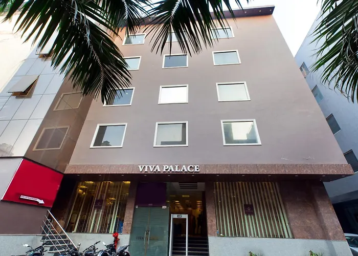 Hotel Viva Palace By Opo,Free Airport Pick Up New Delhi